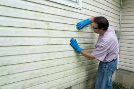 Best Historical Building Siding Restoration  in , IL